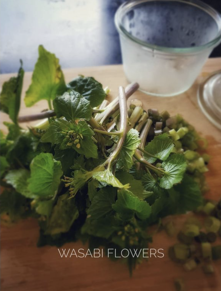 wasabi flowers