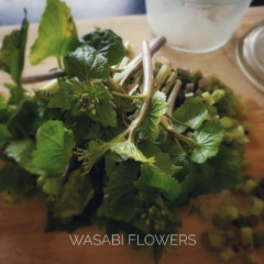 wasabi flowers